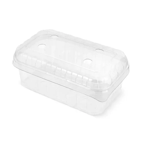 Caserolă transparentă pentru fructe și legume cu capac atașat