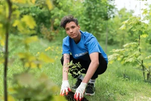 Ecologizare - strategii pe termen scurt și lung, Evamar.ro