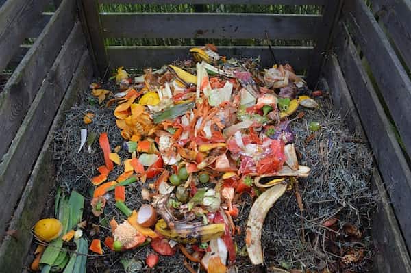 Compostarea - metodă ecologică de sprijin în managementul deșeurilor biodegradabile, evamar.ro 3